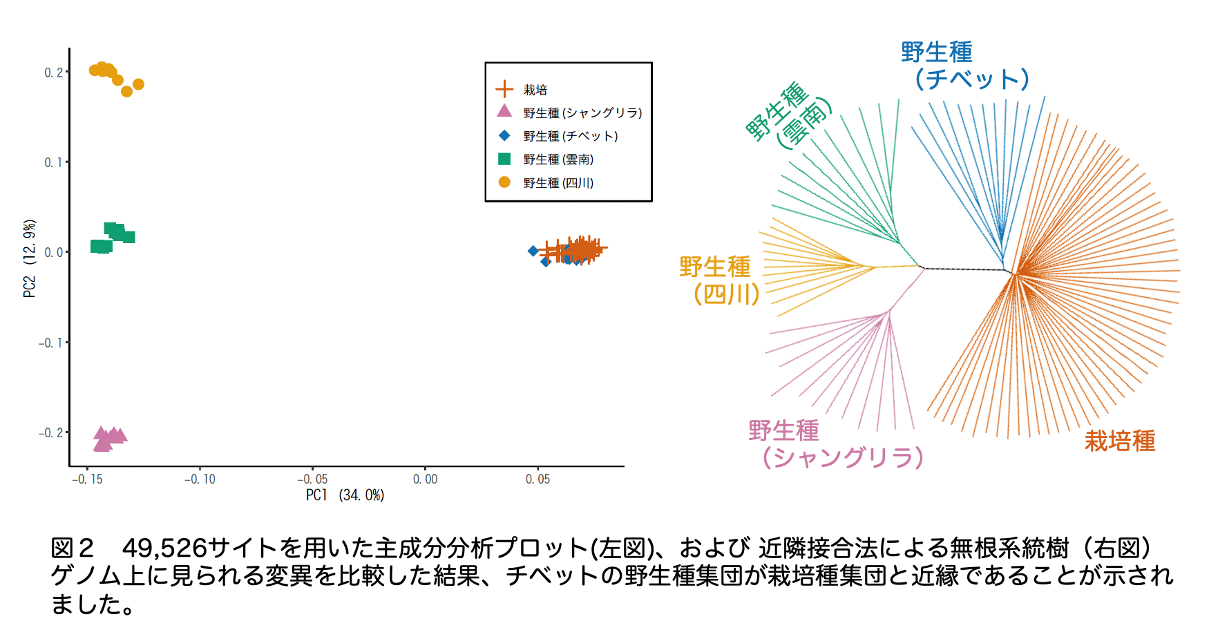 図3